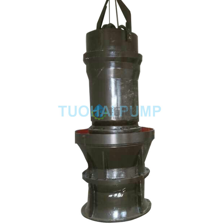 Submersible Axial Flow Pump